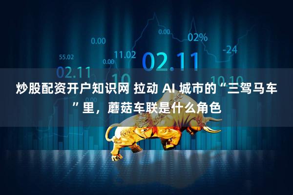 炒股配资开户知识网 拉动 AI 城市的“三驾马车”里，蘑菇车联是什么角色