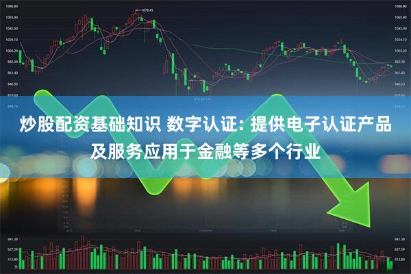 炒股配资基础知识 数字认证: 提供电子认证产品及服务应用于金融等多个行业