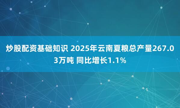 炒股配资基础知识 2025年云南夏粮总产量267.03万吨 同比增长1.1%
